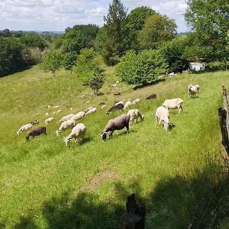 Penzion La Maison De Judith D Hotes Orthez
