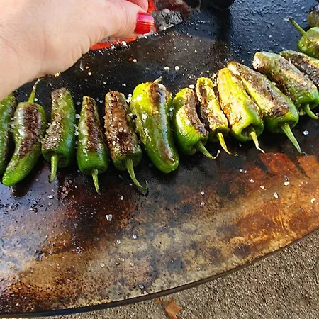 Penzion La Maison De Judith D Hotes Orthez