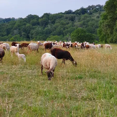 La Maison De Judith D Hotes Penzion