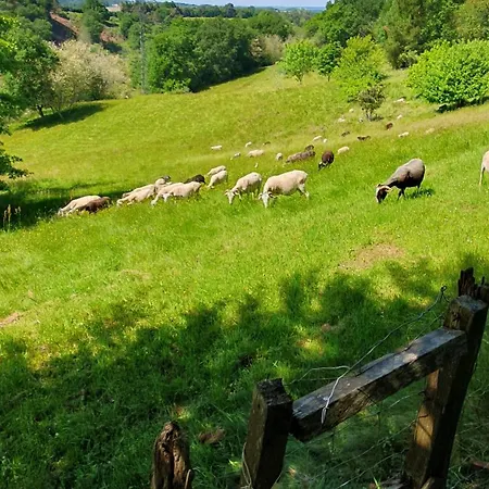 La Maison De Judith D Hotes Penzion Orthez