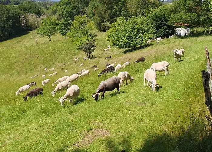 게스트하우스 La Maison De Judith D Hotes 오르테즈