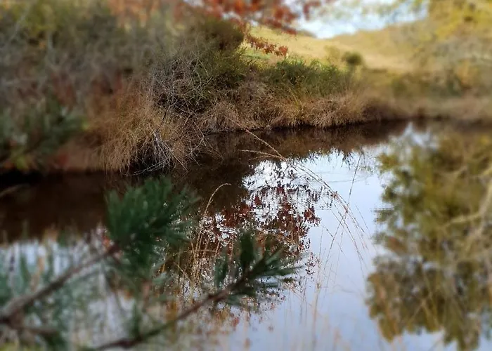 La Maison De Judith D Hotes