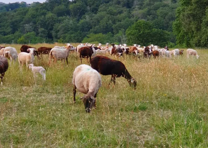 La Maison De Judith D Hotes Penzion