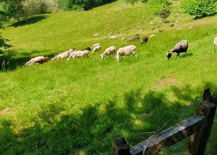 La Maison De Judith D Hôtes Casa de hóspedes Orthez